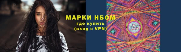 шишки Инсар