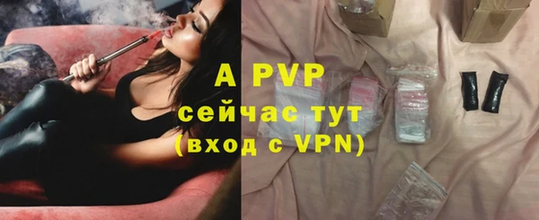 шишки Инсар