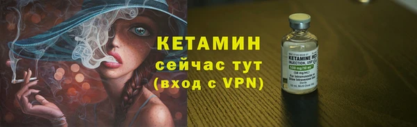 шишки Инсар