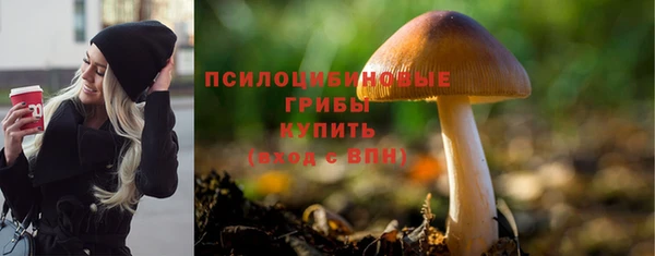 шишки Инсар