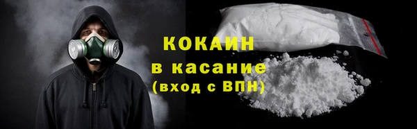 шишки Инсар