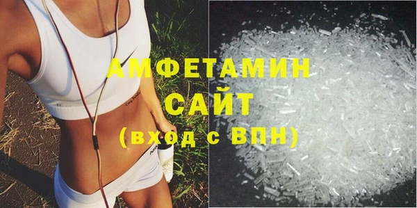 шишки Инсар