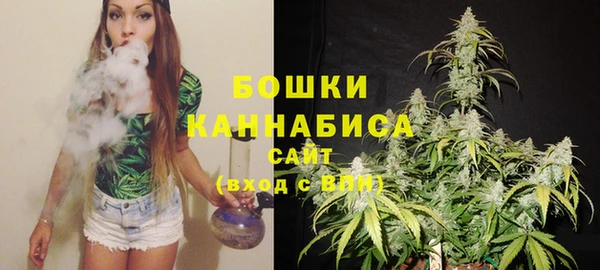шишки Инсар