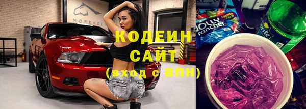 шишки Инсар