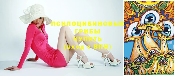 шишки Инсар