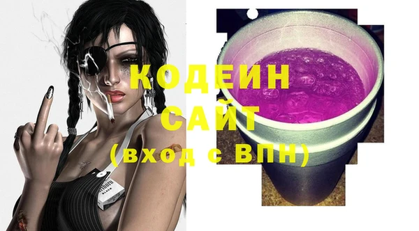 шишки Инсар