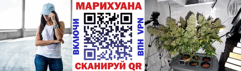 Конопля семена  магазин  наркотиков  Калачинск 